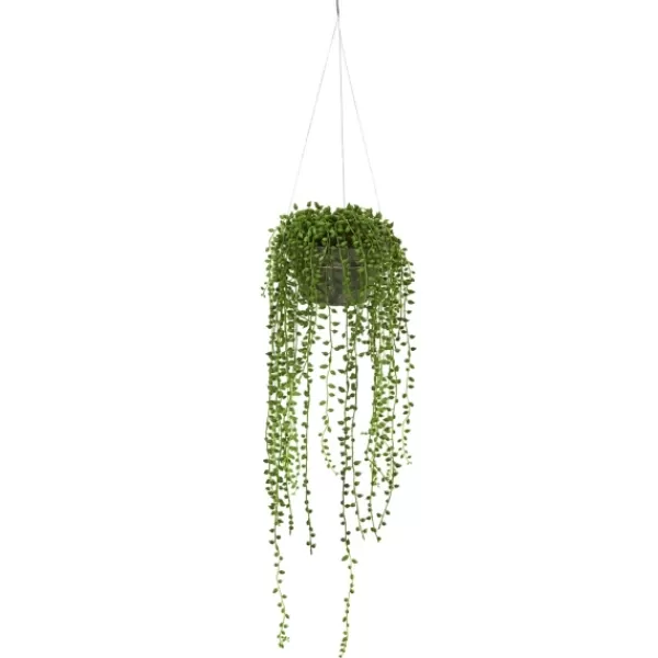 Arrangements & Greenery-Kirkland's Home String Of Pearl Plant In Hanging Planter Green