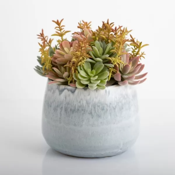 Arrangements & Greenery-Kirkland's Home Succulent Arrangement In Blue Stone Planter Blue/Green/Pink