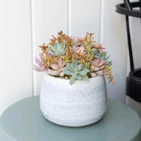 Arrangements & Greenery-Kirkland's Home Succulent Arrangement In Blue Stone Planter Blue/Green/Pink