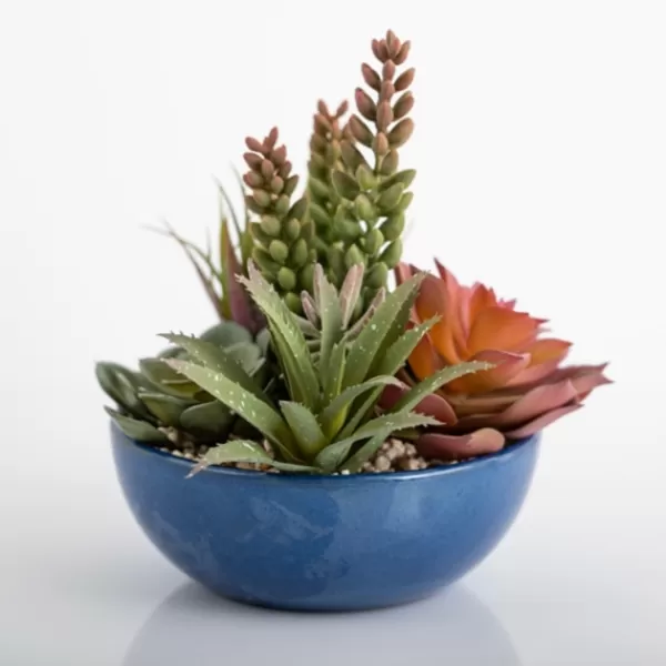 Arrangements & Greenery-Kirkland's Home Succulent Arrangement In Glazed Blue Bowl Blue/Green