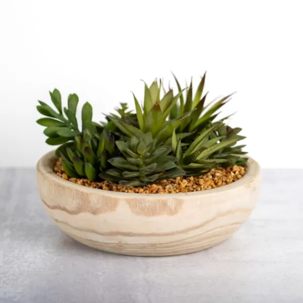 Arrangements & Greenery-Kirkland's Home Succulent Arrangement In Natural Wood Bowl Green/Tan