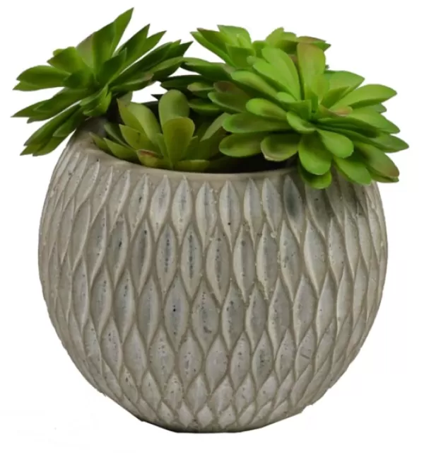 Arrangements & Greenery-Kirkland's Home Succulent Arrangement In Round Cement Planter Green/Gray