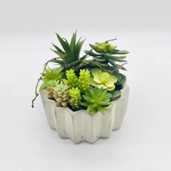 Arrangements & Greenery-Kirkland's Home Succulent Arrangement In Zig-Zag Gray Planter Green/White