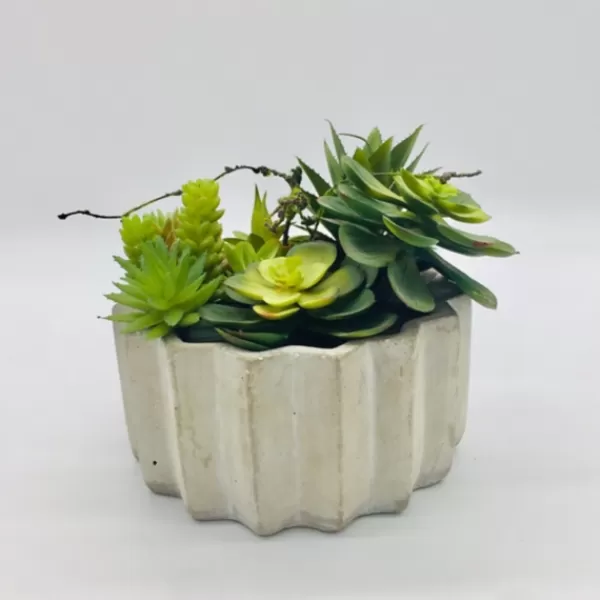 Arrangements & Greenery-Kirkland's Home Succulent Arrangement In Zig-Zag Gray Planter Green/White