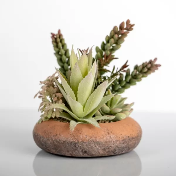 Arrangements & Greenery-Kirkland's Home Succulent Mix In Round Terracotta Planter Green/Orange