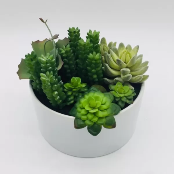 Arrangements & Greenery-Kirkland's Home Succulent Variety In Modern White Planter Green/White