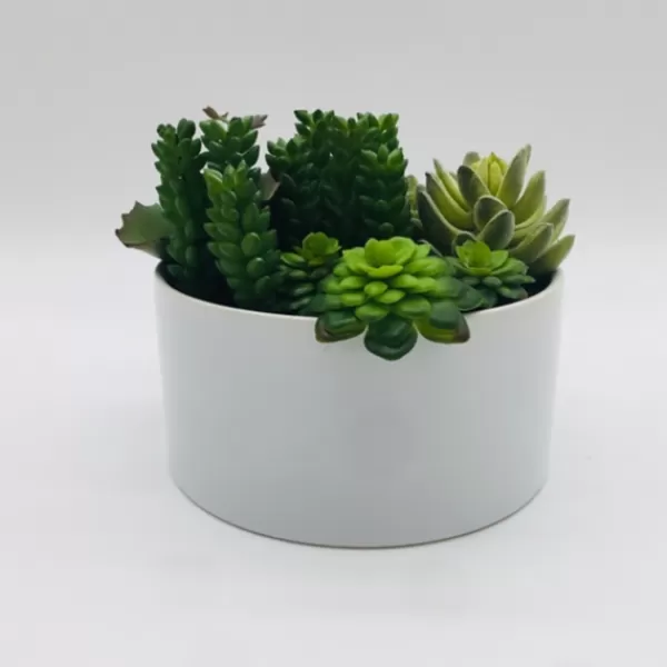 Arrangements & Greenery-Kirkland's Home Succulent Variety In Modern White Planter Green/White