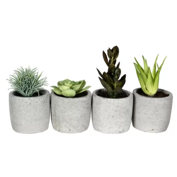 Arrangements & Greenery-Kirkland's Home Succulents In Ceramic Pots, Set Of 4 Green