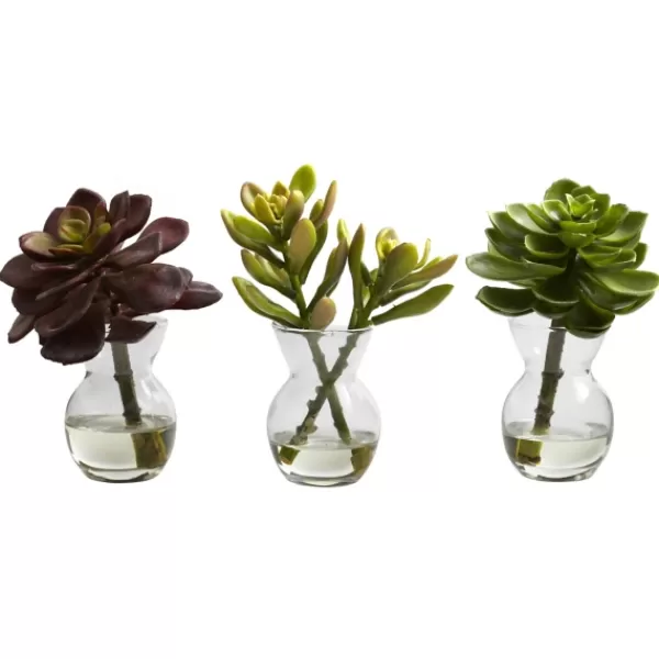 Arrangements & Greenery-Kirkland's Home Succulents In Glass Vases, Set Of 3 Green