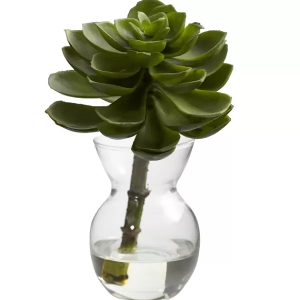 Arrangements & Greenery-Kirkland's Home Succulents In Glass Vases, Set Of 3 Green