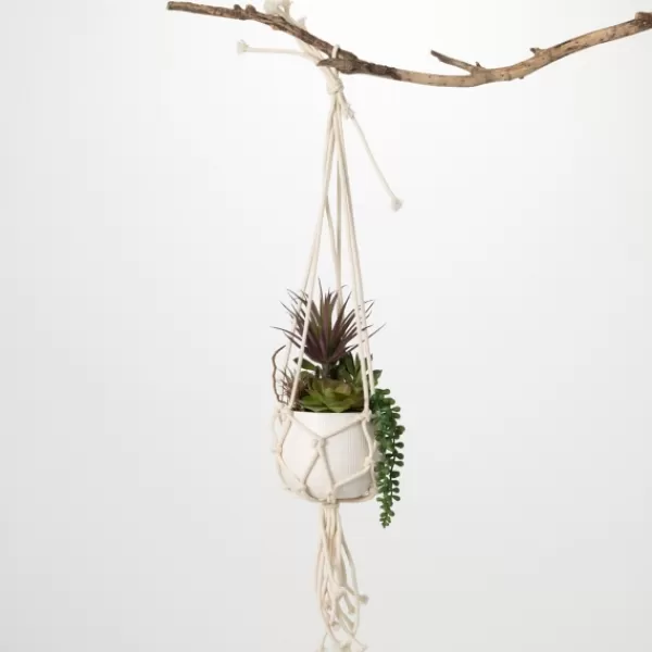 Arrangements & Greenery-Kirkland's Home Succulents In Hanging Macrame Planter Green/White