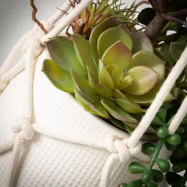 Arrangements & Greenery-Kirkland's Home Succulents In Hanging Macrame Planter Green/White