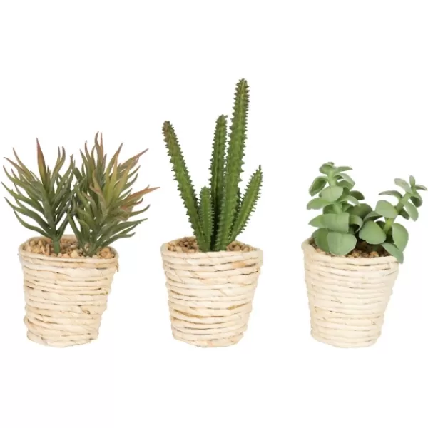 Arrangements & Greenery-Kirkland's Home Succulents In Twine Planters, Set Of 3 Green/Tan