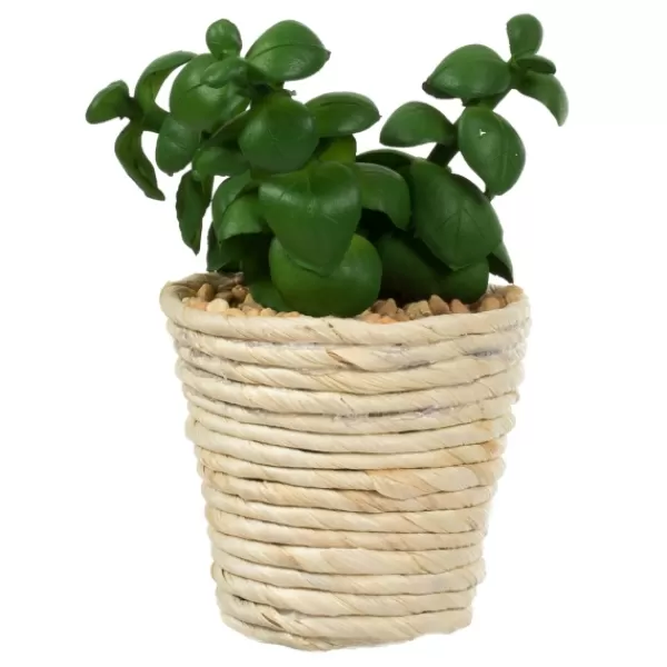 Arrangements & Greenery-Kirkland's Home Succulents In Twine Planters, Set Of 3 Green/White