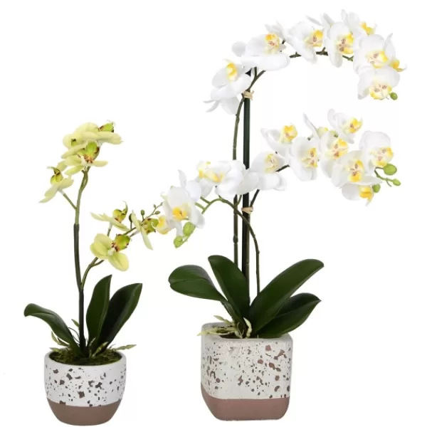 Arrangements & Greenery-Kirkland's Home Sunshine Orchids In Speckled Planters, Set Of 2 Yellow/White