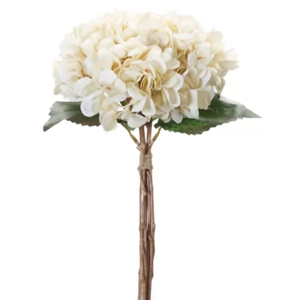 Stems & Bouquets-Kirkland's Home Twine Tied Cream Hydrangea Bundles, Set Of 12 Ivory/Green