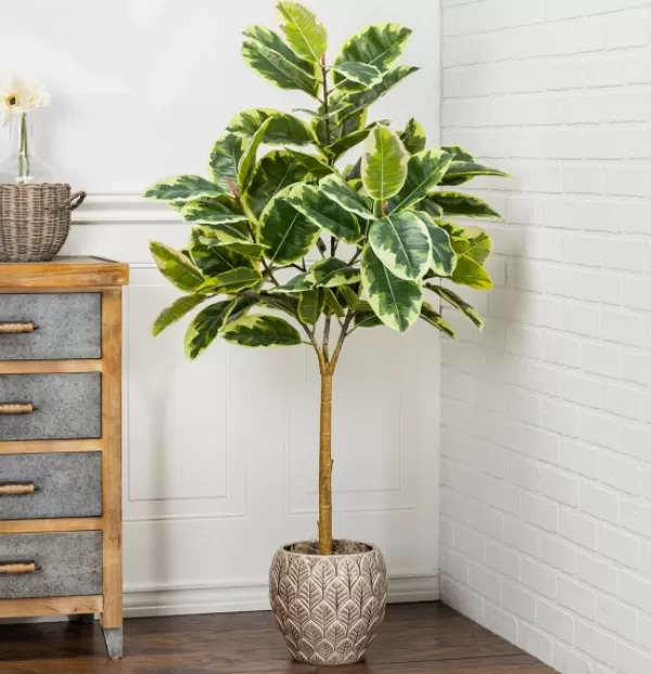 Trees & Topiaries-Kirkland's Home Variegated Rubber Tree In Black Pot, 4 Ft.