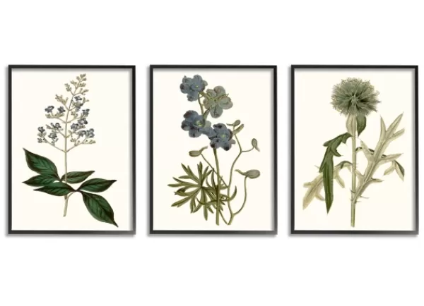 Framed Art-Kirkland's Home Vintage Blue Flowers Framed Art Prints, Set Of 3 Green/Blue