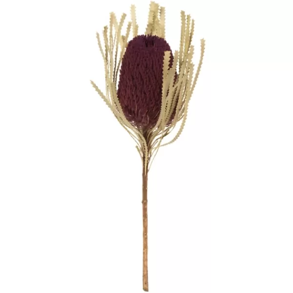 Stems & Bouquets-Kirkland's Home Violet Dried Jumbo Banksia Stems, Set Of 3 Purple