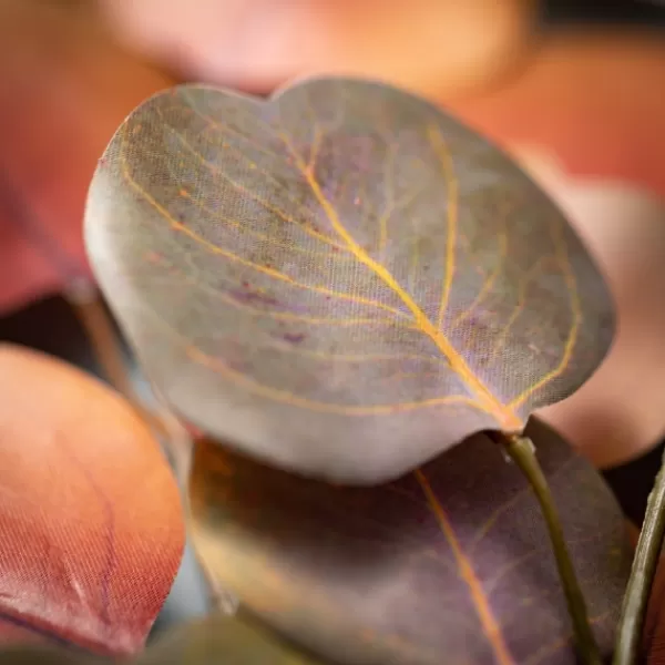 Stems & Bouquets-Kirkland's Home Warm Silver Dollar Eucalyptus Stems, Set Of 2 Orange/Brown