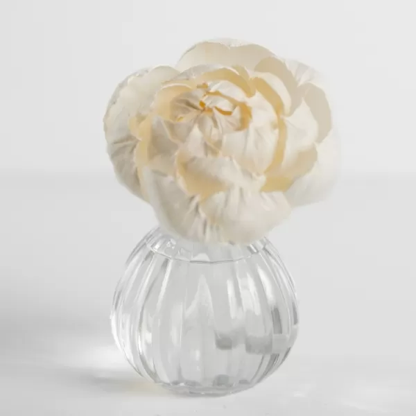 Home Fragrance-Kirkland's Home Watermark Flower Petal Diffuser Set