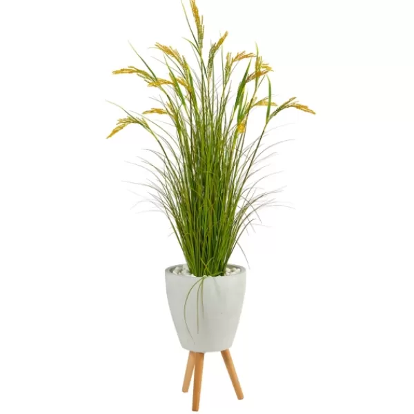 Trees & Topiaries-Kirkland's Home Wheat Grass In White Planter