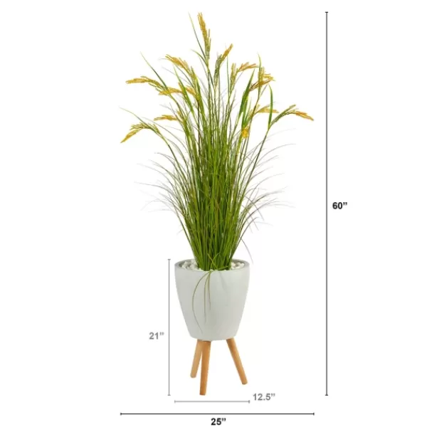 Trees & Topiaries-Kirkland's Home Wheat Grass In White Planter