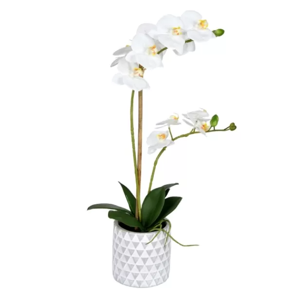 Arrangements & Greenery-Kirkland's Home White Orchid Real Touch Arrangement In Ceramic Pot White/Green