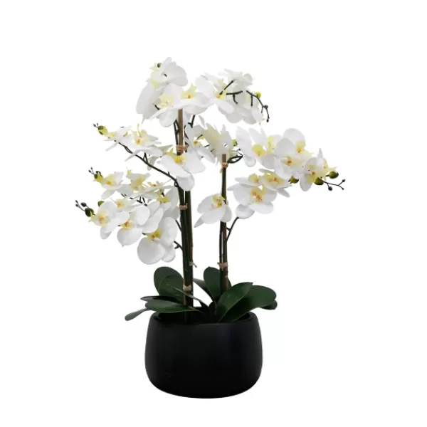 Arrangements & Greenery-Kirkland's Home White Real Touch Orchid Arrangement In Black Pot White/Black