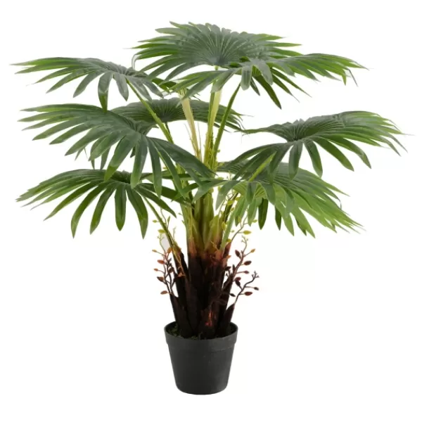 Trees & Topiaries-Kirkland's Home Wide Reach Tree Fern In Black Planter