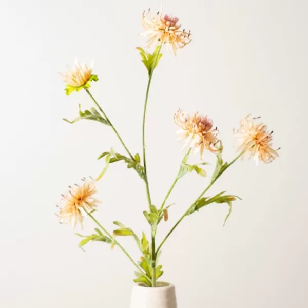 Stems & Bouquets-Kirkland's Home Wild Daisy Stem Pink