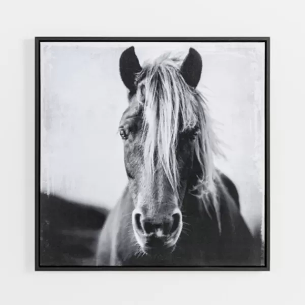 Framed Art-Kirkland's Home Wild Horse Framed Canvas Art Print Black/White