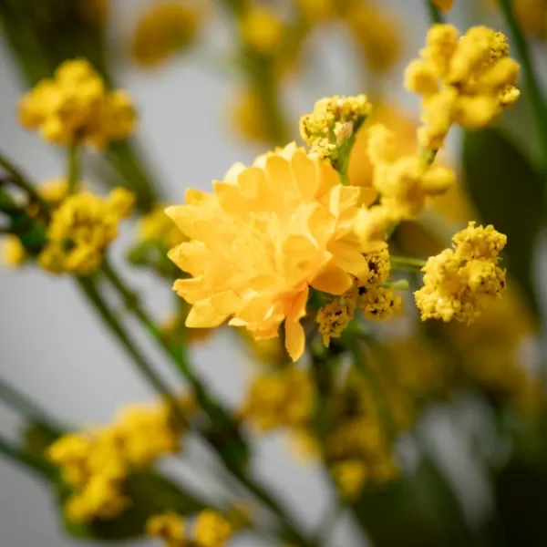 Wreaths-Kirkland's Home Wildflower Wreath Yellow